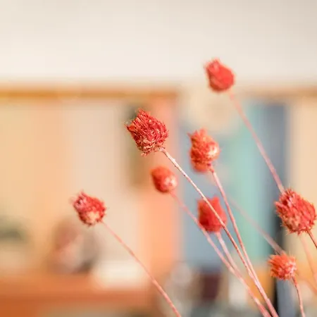 Apartment Casa Emilia - * In The Heart Of *